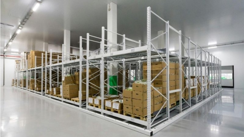 Professional Screeding